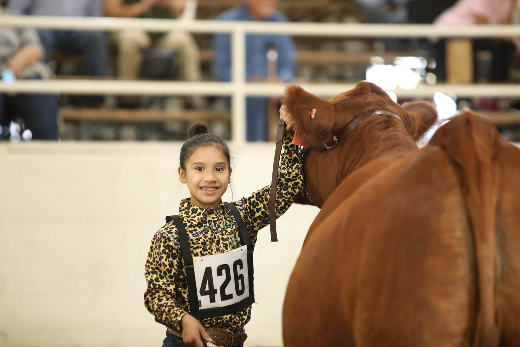 Home texas youth livestock